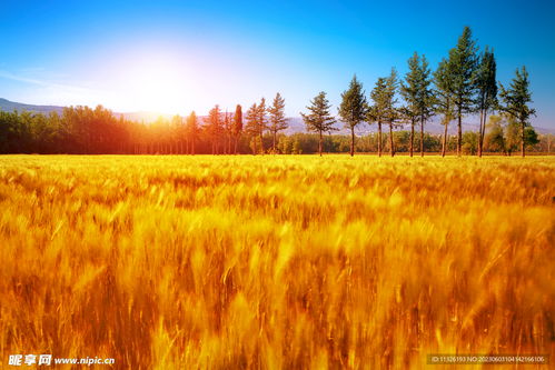 那些令我舒适的简单事物