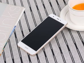 华为nova14手机正面图