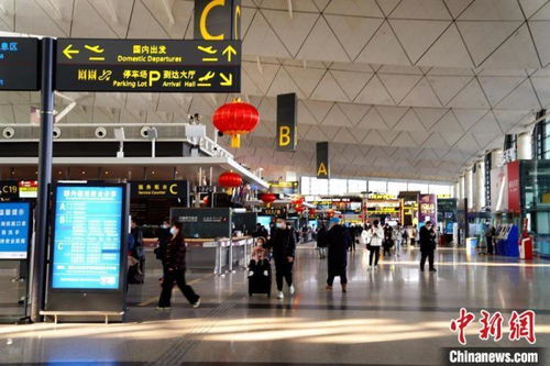 误机大闹机场女子澄清：不是考公！真相曝光引热议