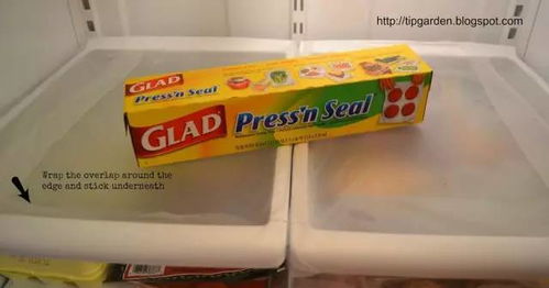 一块冰箱里的瑞士卷，竟让老人发烧去世？夏天更要警惕这个“冰箱杀手”