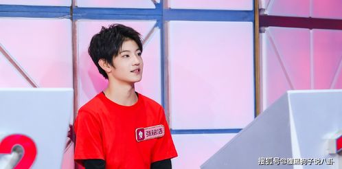 披荆斩棘的哥哥：从爱豆到‘中年顶流’，他们如何玩转这场真人秀？