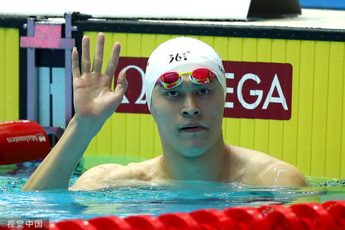 孙杨100米自由泳退赛背后真相曝光？热身池冲突成导火索？