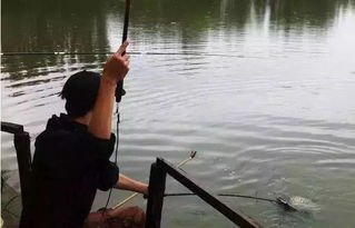 重庆父亲带儿女钓鱼三人溺亡，知情人透露：返乡陪伴孩子却遭遇悲剧