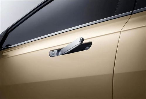 价格过千，维修隐藏式门把手为何这么贵？车主吐槽：科技感值这个价吗？