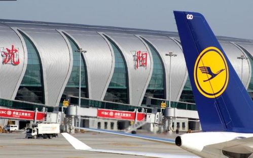 错过航班崩溃大哭？女子回应：耽误孩子考公！网友热议不断