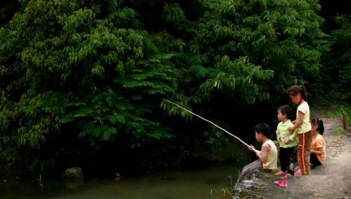 重庆父亲带儿女钓鱼3人溺亡，悲剧背后的安全警钟