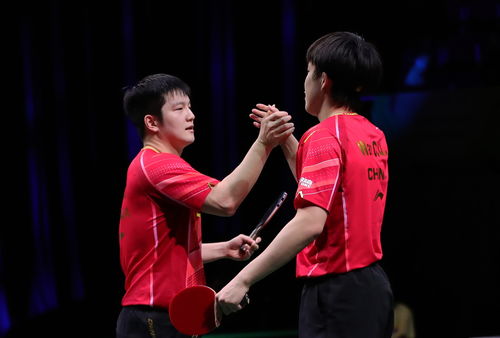 王楚钦与樊振东庆祝胜利