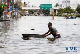 阳朔居民在洪水期间转移物资