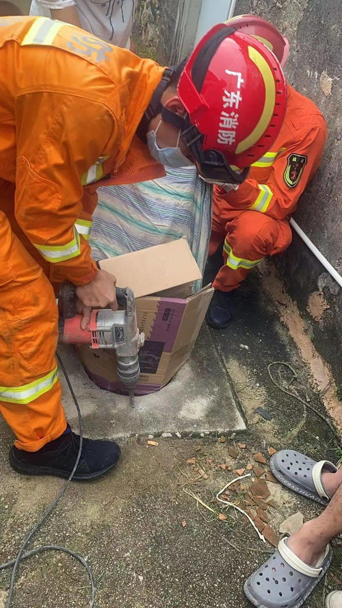 胡锡进谈男生掉化粪池遇难：痛心，我们还能做些什么？