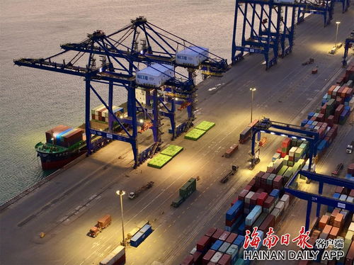 港口集装箱码头忙碌场景