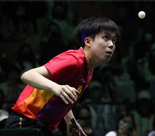 王楚钦在训练场上认真练习