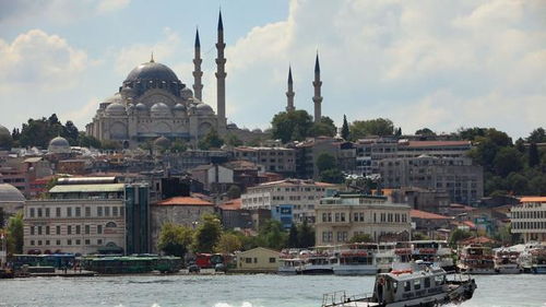 普京称愿与乌方共同起草和平备忘录，俄乌谈判重启能否迎来转机？