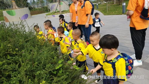 孩子们在草地上奔跑大笑