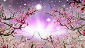 夜晚灯光下的桃花林