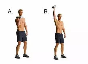 YTWL字母操训练动作示范图