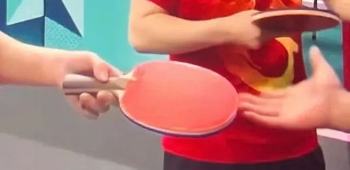 日媒：王楚钦球拍胶皮疑似人为故意损坏 与巴黎奥运会时有本质不同