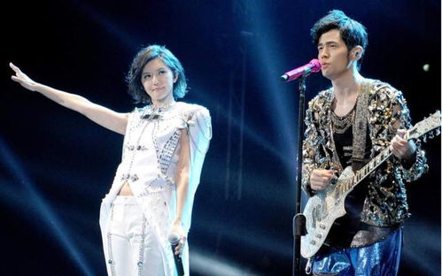 孙燕姿演唱会现场生图