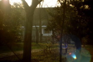 窗外细雨朦胧的景色