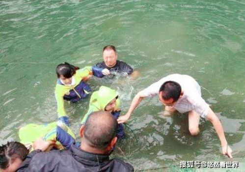 悲剧与奇迹交织：男孩落水、掉化粪池，父母奋不顾身却痛失亲人