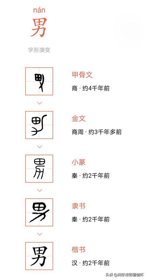 金文中用字的演变过程