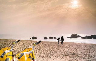 情侣手牵手走在夕阳下