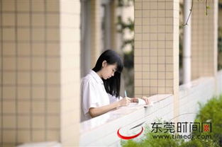 我用了三年，终于明白：成功靠的不是聪明，而是心力