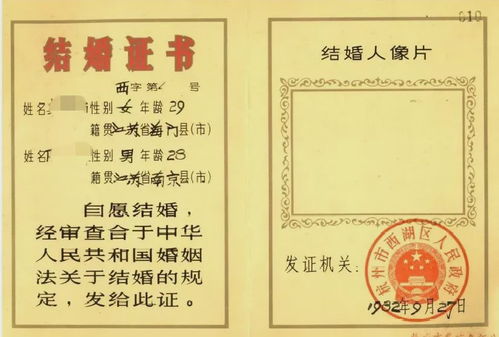 法律与婚姻的关系