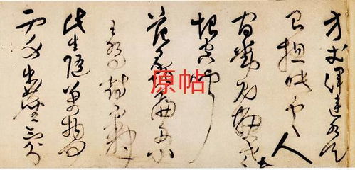 张德进现场书法表演场景