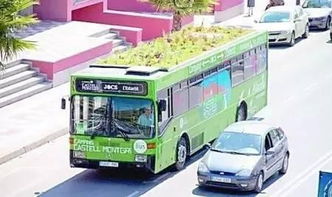 街头流动小花车前有人购买鲜花