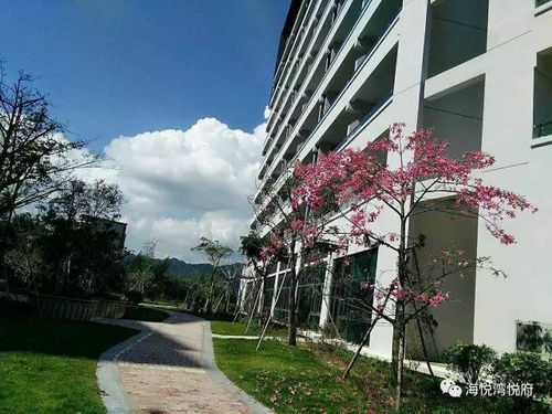 海悦湾项目施工现场