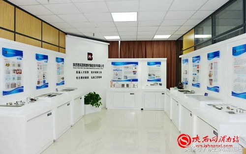 大摩上调中国股市评级至标配，科创优势成经济新引擎？