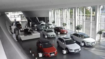 车主面对高昂维修费用的表情