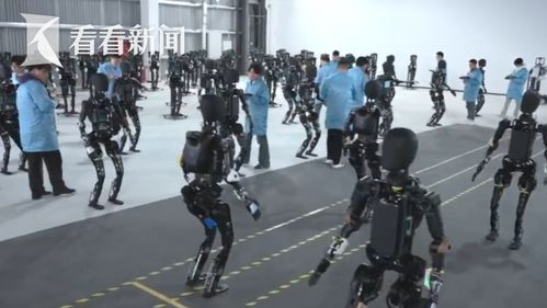 上海异构人形机器人训练场外观