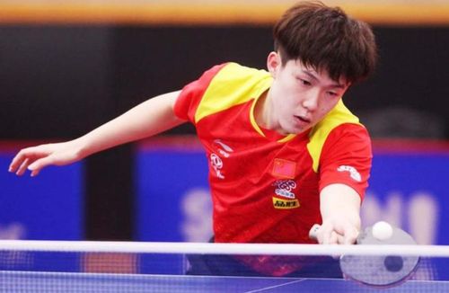 王楚钦直播回应球拍损坏事件