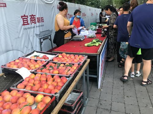 水果摊贩忙碌场景