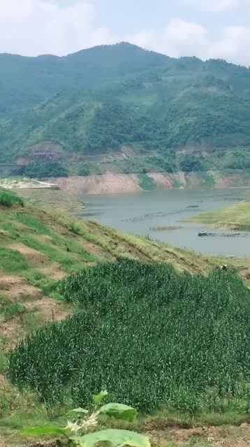 一个人站在山坡上眺望远方思考未来