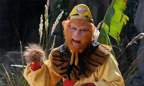 孙悟空与通关文牒