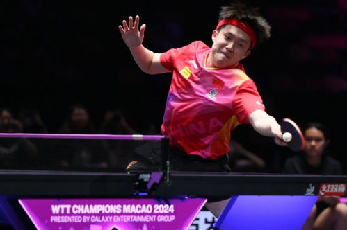 王楚钦一句话火了！网友：这届运动员太拼了