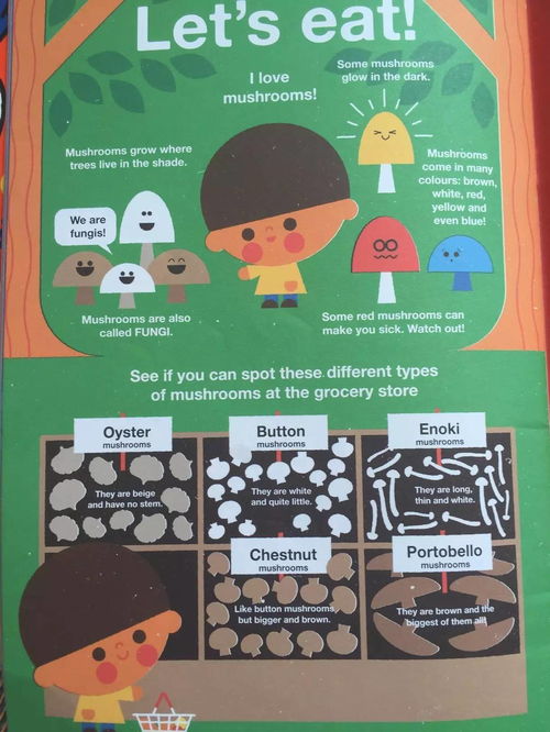 moe卡册与其他周边产品组合