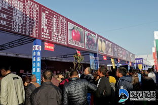 台湾股市交易大厅人头攒动