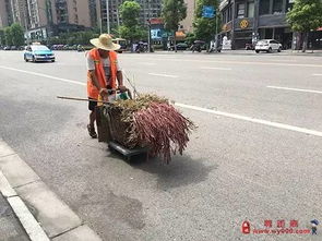 热到烫伤！北方多地地面温度超70度，河南、山西局地最高达72.9度