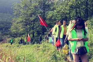 夕阳下的志愿者在田野间行走