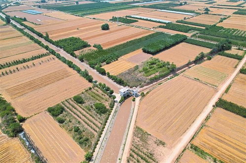 渭南东雷抽黄灌区引黄河水灌溉农田