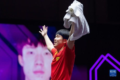 王楚钦与队友庆祝胜利