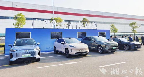 中国新能源汽车展示现场