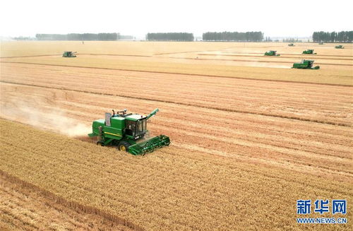 农民操作大型收割机