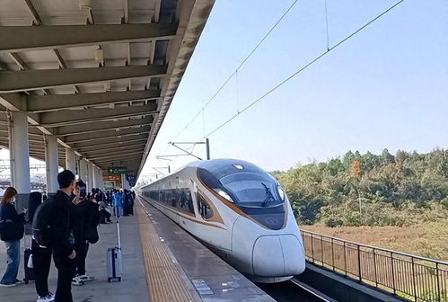 乘客在飞机内系安全带的场景