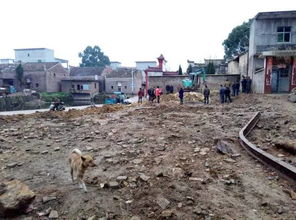 镇政府回应村民在外务工老宅被拆，真相令人唏嘘