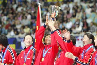 汪顺在领奖台上高举奖杯