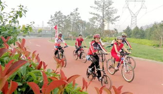 被中产炒热的自行车，价格崩了？从骑行热潮到库存积压的真实故事